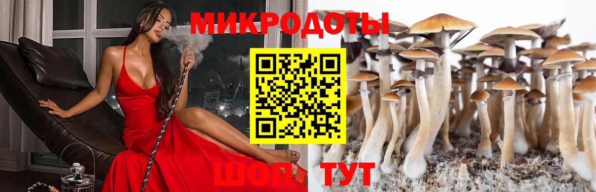 Майкоп  Галлюциногенные грибы GOLDEN TEACHER  Вход с VPN 