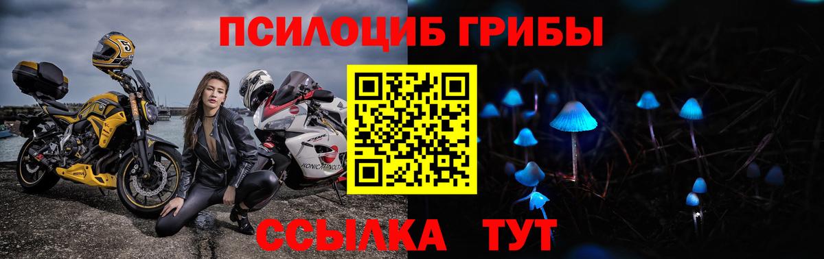 Галлюциногенные грибы Magic Shrooms Майкоп